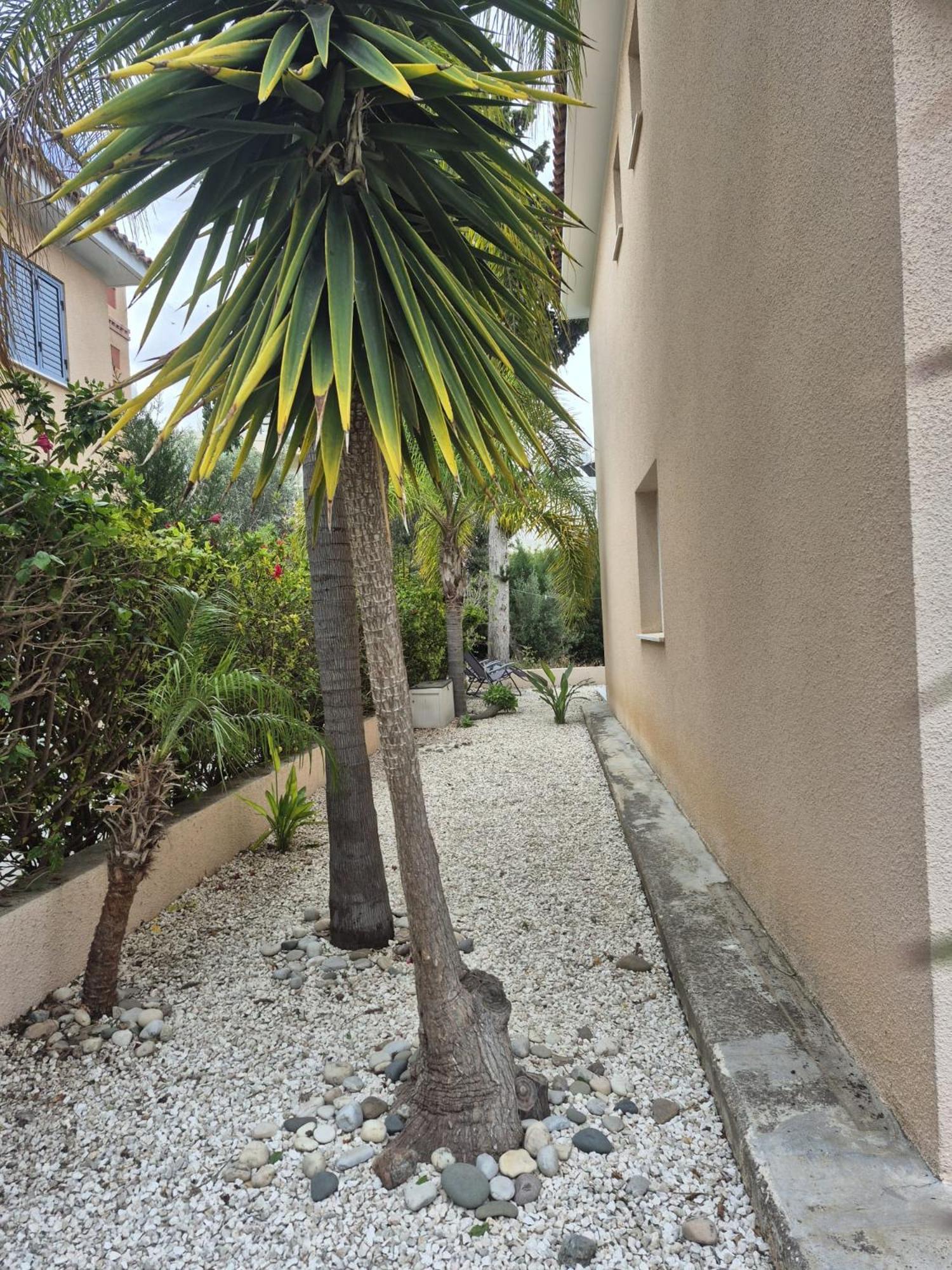 Casa Del Sol Townhouse In Iris Village Paphos Esterno foto